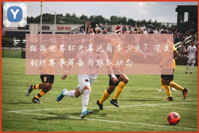 距离世界杯开幕还有多少天？深度剖析赛事筹备与球队动态