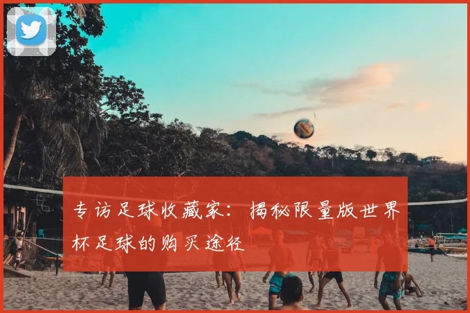 专访足球收藏家:揭秘限量版世界杯足球的购买途径