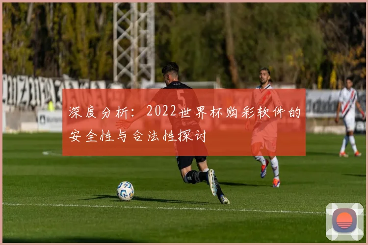 深度分析：2022世界杯购彩软件的安全性与合法性探讨