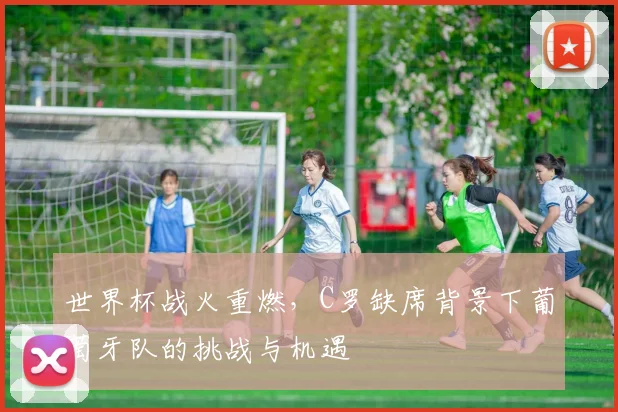 世界杯战火重燃,C罗缺席背景下葡萄牙队的挑战与机遇
