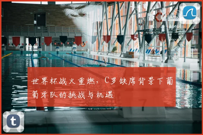 世界杯战火重燃,C罗缺席背景下葡萄牙队的挑战与机遇