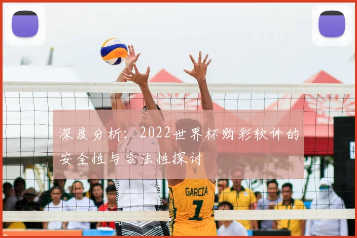 深度分析：2022世界杯购彩软件的安全性与合法性探讨