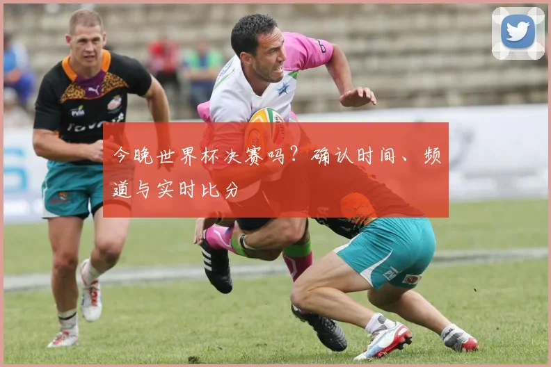 今晚世界杯决赛吗？确认时间、频道与实时比分