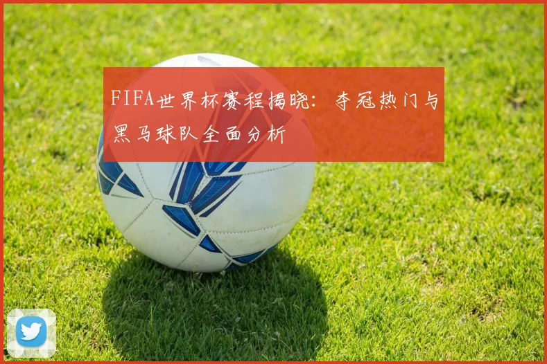 FIFA世界杯赛程揭晓：夺冠热门与黑马球队全面分析